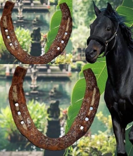 Kale Ghode Ki Naal Iron Yantra